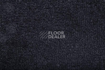 Ковролин Condor Amazing 78 фото 1 | FLOORDEALER